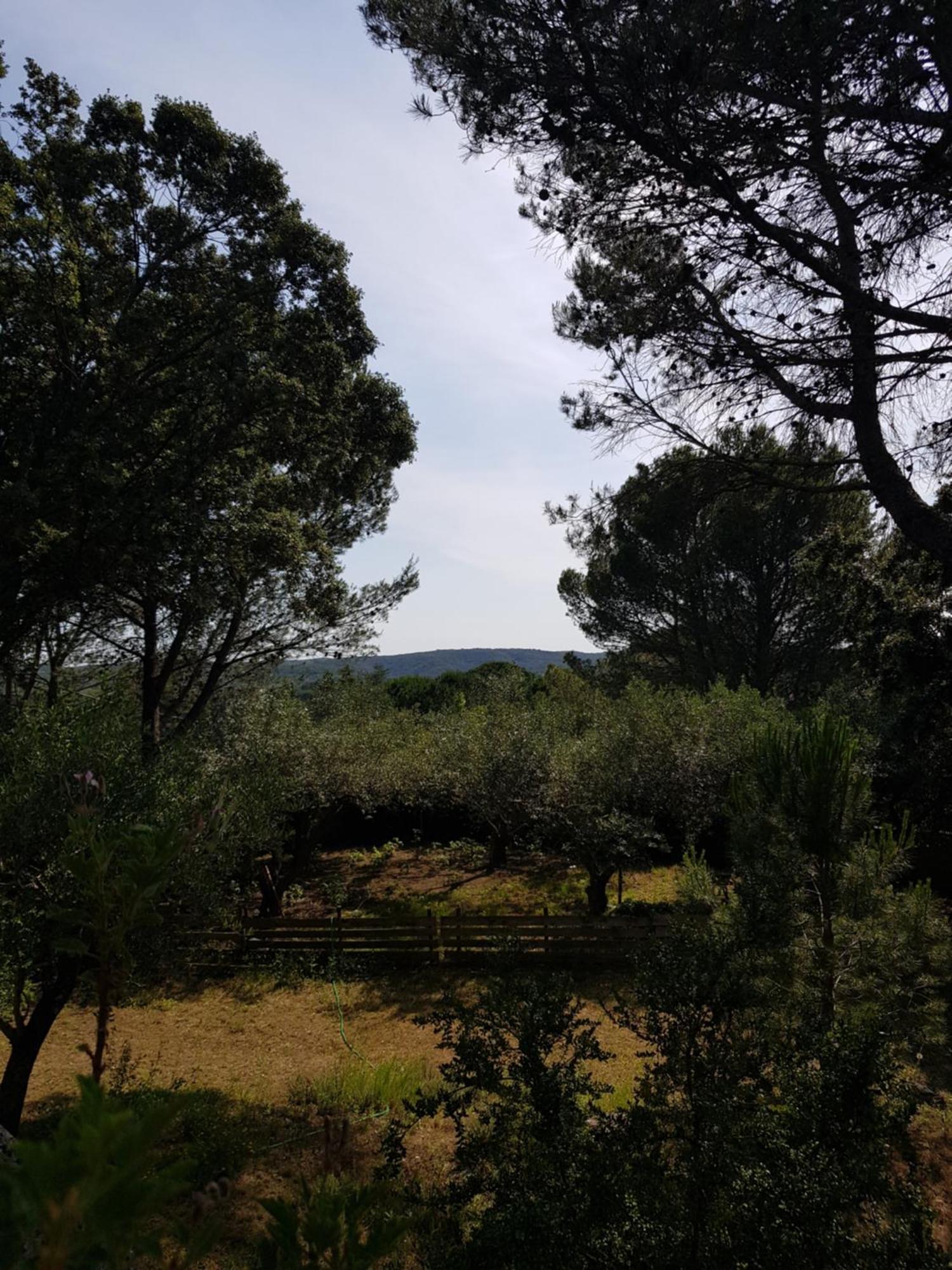 Maison Au Calme Castillon-du-Gard Eksteriør bilde